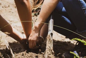 Proyecto Arborización Urbana:  Bioparque Amaru